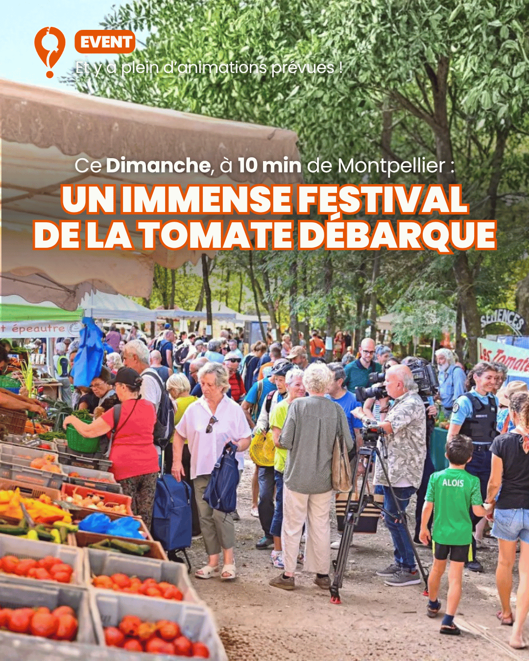 Ta sortie idéale du Dimanche